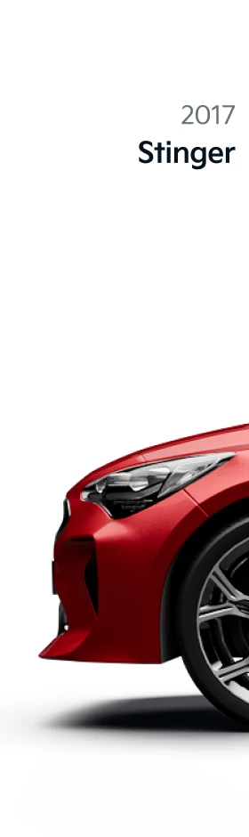 Stinger